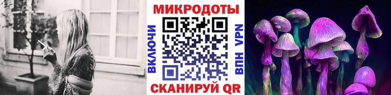 Псилоцибиновые грибы мицелий  блэк спрут ONION  Голицыно 
